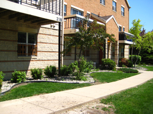 Renee Row Outside Photograph